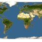 Discover Life: Point Map of Accipiter albogularis
